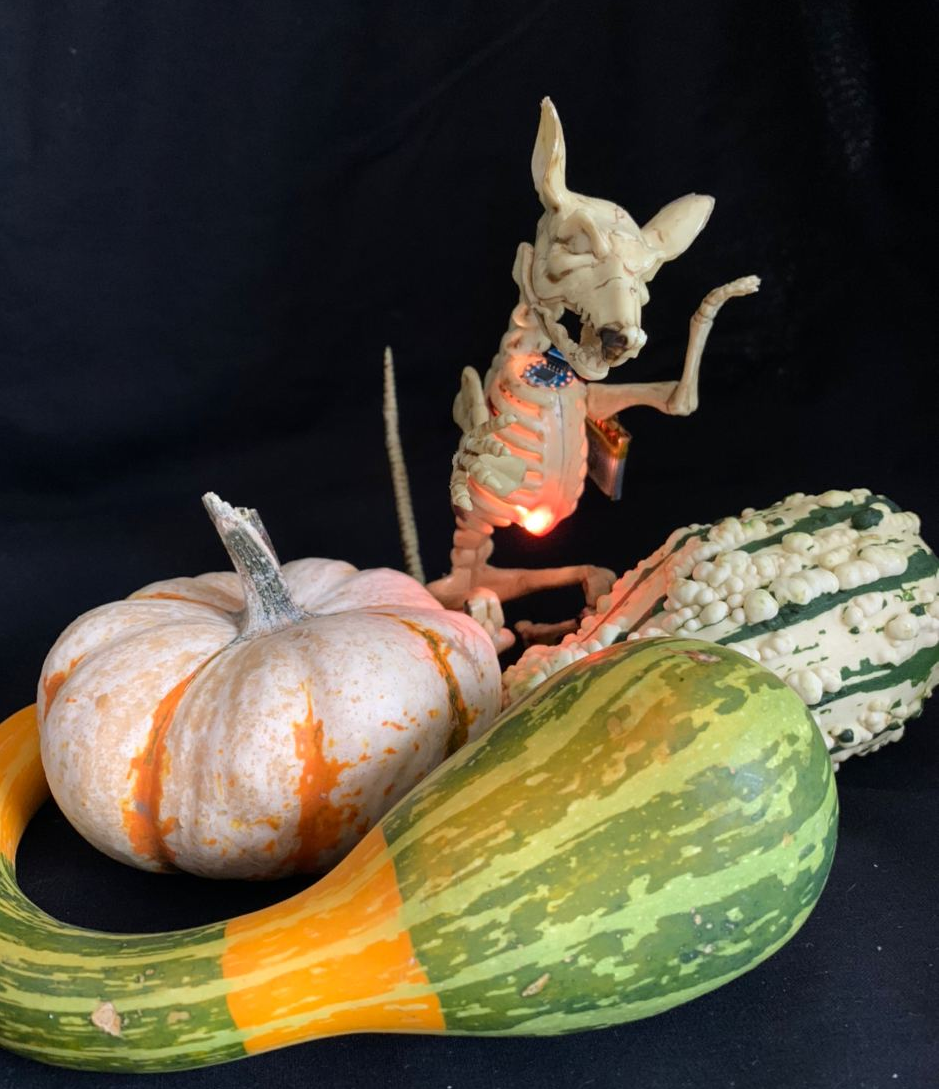 Halloween decoration rat skeleton RGB LED Arduino